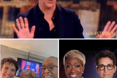 ‘WHERE THEY GO, SO DO I’ — JOY-ANN REID’S SHOCKING COMEBACK WITH RACHEL MADDOW AFTER MSNBC FIRES HER BACKFIRES BIG TIME!