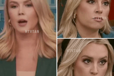 “LIVE TELEVISION ERUPTS: JACKIE HEINRICH’S SHOCKING PUSHBACK AGAINST KAROLINE LEAVITT EXPOSES FOX NEWS’ DEEP DIVIDE!”