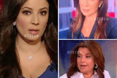 “WALKING AWAY FROM THE SPOTLIGHT: JULIE BANDERAS’ MYSTERIOUS EXIT LEAVES FOX NEWS STUNNED!”