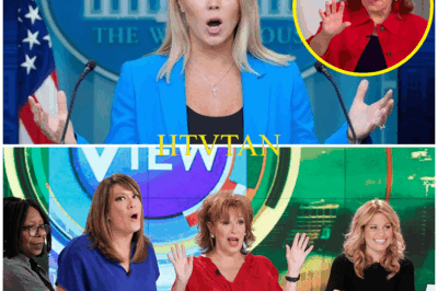 BREAKING SHOCK NEWS: KAROLINE LEAVITT UNLEASHES $800M LAWSUIT—‘THE VIEW’ BEGS FOR MERCY, BUT IT’S TOO LATE!  In a devastating turn of events that’s sending shockwaves through the media world, Karoline Leavitt has struck back with an $800 million lawsuit that could tear apart the very foundation of The View. This isn’t just a legal move—it’s a ruthless, calculated strike that has left the network scrambling for cover.  Leavitt’s lawsuit comes as a scorched-earth response to months of tension, and she’s not holding back. The claims are explosive, the evidence damning, and the stakes higher than ever. As The View begs for mercy, it’s clear that Leavitt’s decision is final. There’s no turning back.  This is no longer about a simple dispute—this is a full-blown battle that could redefine the power dynamics in media. What sparked this fiery confrontation? How did it escalate so quickly, and what does Leavitt’s move mean for the future of both The View and her career?  The legal war has just begun, and Leavitt’s unstoppable move is sending tremors through the industry. Stay tuned—this battle is far from over, and it’s only going to get more intense.
