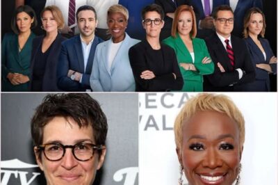 They thought firing one host would end the drama—but instead, it awakened a secret alliance forged in the shadows. Now Rachel Maddow and Joy Reid are back, armed with a 20-year plan that could dismantle the network from within.