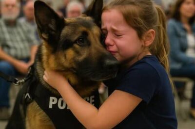 Little Girl Walks Into Police Dog Auction Alone — What Happened Next Moved Everyone to Tears