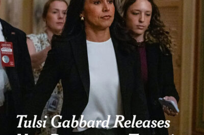 Tulsi Gabbard, the director of national intelligence, ramped up her attacks on Barack Obama as she released a document that she said undermined the conclusion of his intelligence agencies that Russia favored the election of Donald Trump in 2016. Gabbard has won praise from Trump for her investigation into the intelligence findings as the president has been under sharp criticism for his handling of the Epstein files. Trump’s attacks on the Obama administration appear to be part of a distract-and-deflect strategy. Read more: