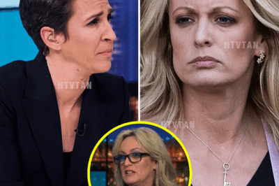 “Stormy Daniels Told the Truth—and America Paid No Attention. Here’s What Happened Next…”