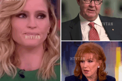 “SHOCKING: ABC CEO DECLARES ‘IT’S TIME TO CANCEL THE WORST SHOW ON TV—THE VIEW!’”