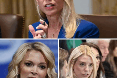 MIC DROP MOMENT: PAM BONDI SUDDENLY SLAMS MEGYN KELLY WITH 8 BRUTAL SENTENCES, LEAVING HER SPEECHLESS LIVE ON AIR! THE STUDIO FALLS SILENT!