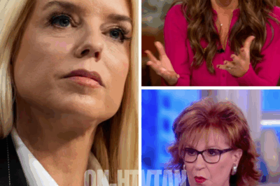 “She said it—and the room went dead silent” — Pam Bondi’s shocking one-liner on The View IGNITES total CHAOS as hosts freeze, audience gasps, and producers scramble to cut to break