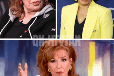 “They silenced everyone but forgot I had the last word.” The View SHUT DOWN after ruthless backroom shakeup – Joy Behar flees cameras in final broadcast as ABC execs scramble to hide the brutal truth behind the cancellation