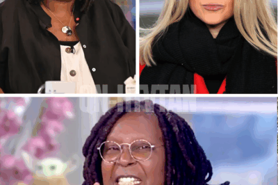 “They thought she was bluffing… they were wrong.” Karoline Leavitt’s $800M takedown just FLIPPED the lights off at The View – Megyn Kelly’s STUNNING 8-word vow triggers behind-the-scenes panic as insiders leak what producers REFUSED to let air during final negotiations