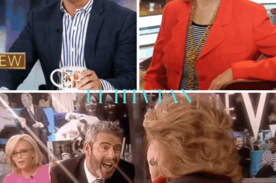 Barbara Walters Once “Lunged” at Andy Cohen During ‘The View’ Commercial Break: “How Dare You Insult Me On My Own Show”