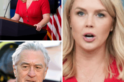 “‘You’ve Just Crossed The Line,’ Karoline Leavitt UNLOADS on Robert De Niro LIVE — But Instantly Regrets It in Front of Millions!”  What was meant to be a routine interview quickly turned into one of the most unforgettable moments in live TV history when Karoline Leavitt fiercely unloaded on Robert De Niro, attacking him on politics, Hollywood hypocrisy, and everything he stood for. But as her words flew, she quickly realized she had made a grave mistake. De Niro, calm at first, struck back with one cold, calculated sentence that left her speechless and the audience in complete silence. The confident smile on her face vanished as the room fell into stunned quiet. What exactly did De Niro say that flipped the entire dynamic in an instant? This live TV clash is quickly becoming the moment everyone is talking about.