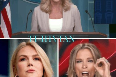 MIC DROP MOMENT: KAROLINE LEAVITT JUST BANKRUPTED THE VIEW — MEGYN KELLY’S 8-WORD RESPONSE LEAVES THE INDUSTRY SHAKEN, THE STUDIO STILL REELING!