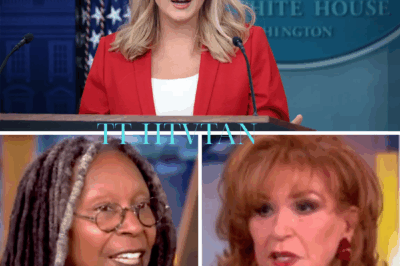 What started as a smug joke on live television has now detonated into full-blown devastation for The View. Karoline Leavitt took the co-hosts to court over a segment she claims defamed her—what followed was a legal onslaught so sharp it left producers scrambling and executives stunned. But the real twist came after the verdict, when Megyn Kelly, without warning, delivered a 12-word statement so cutting it’s already being quoted across the industry. What exactly did she say—and why are insiders calling it the beginning of a new conservative media powerhouse? Get every detail of the takedown shaking TV’s elite—before it disappears.👇👇