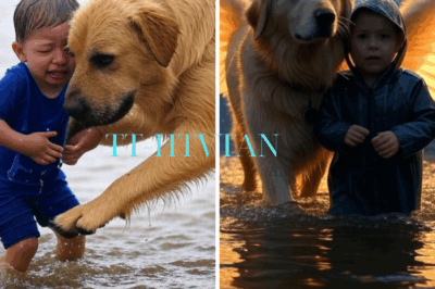 🐾💔 Guardian Angel on Four Legs: The Mystery Dog That Saved a Lost 3-Year-Old in Texas Floods
