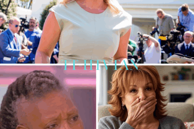 “‘You’re Done’: THE VIEW BEGS FOR A WAY OUT, KAROLINE LEAVITT DROPS 2 WORDS THAT EXPLODE THE INTERNET!”