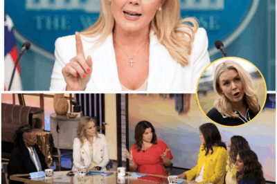 “TOO LATE!” — KAROLINE LEAVITT STRIKES BACK WITH \$500 MILLION LAWSUIT—‘THE VIEW’ PANICS AS DOORS SHUT FOR GOOD!  In a move that has rocked the media world to its core, Karoline Leavitt has just slammed the door on any chance of behind-the-scenes negotiations with *The View*, announcing that her \$500 million lawsuit is charging ahead full force—and there’s no turning back.  *“They had their chance. Now it’s too late,”* Karoline coldly declared in an explosive surprise press conference, leaving no room for doubt.  But the real bombshell? A leaked 200-page document has set social media ablaze, revealing a damning list of accusations including defamation, reputation damage, and deliberate rumors.  **The stakes are higher than ever.** Insider sources say *The View*’s producers are now in *full panic mode*, desperately trying to settle the crisis before the full extent of the damage is unleashed.  What exactly did Karoline’s legal team uncover, and why is this lawsuit threatening to bring down one of the most iconic talk shows in history?  The full story is just beginning to unravel. Stay tuned for the explosive details.👇👇👇