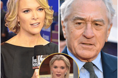 “I DON’T CARE WHAT YOU THINK OF ME.”  In a live TV moment that left everyone speechless, Robert De Niro silenced Megyn Kelly with eight words that didn’t just deflate the room—they rewrote the narrative, shifted the energy, and set the tone for a power struggle that no one expected.  What began as a fiery exchange between Kelly and the Hollywood legend quickly escalated when Kelly threw a sharp jab, calling De Niro “extremely stupid” in front of millions. The tension was palpable, and viewers braced for the explosion to follow.  But instead of reacting with anger, De Niro *remained calm*, his eyes locking with Kelly’s. With quiet authority, he delivered a response so precise, so controlled, that the entire studio froze in stunned silence.  **No shouting. No theatrics. Just eight words—quiet, lethal, and utterly devastating.**  What exactly did De Niro say that flipped the tables in an instant and left the internet buzzing long after the cameras stopped rolling?  **The truth is colder, sharper, and more powerful than you can imagine.**