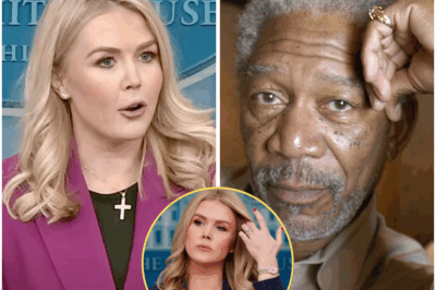 “LOOK ME IN THE EYE, KAROLINE.” — MORGAN FREEMAN DESTROYS KAROLINE LEAVITT IN LIVE TV SHOWDOWN THAT SHATTERS AMERICA!  In an unprecedented on-air confrontation, Karoline Leavitt was ruthlessly taken to task by none other than Morgan Freeman, as the two clashed over the explosive topics of racism and inequality. What started as a heated debate quickly spiraled into a devastating moment for Leavitt when Freeman, calm but devastatingly sharp, delivered words so profound, so piercing, that she was left utterly speechless.  The intensity in the room was palpable, with the audience “holding their breath” as Freeman’s response echoed through the air. This explosive exchange has ignited an inferno of heated debates across social media, with viewers divided over the brutal exchange.  What did Freeman say that left Karoline speechless, and how did this confrontation send shockwaves through the media world?** This is one moment that is sure to be remembered for years to come. **Watch the full, mind-blowing scene below. 👇