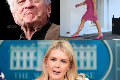 “SOME PEOPLE’S MASKS ARE SO THIN, YOU CAN SMELL THE ROT UNDERNEATH.” — ROBERT DE NIRO’S ALLEGED PRIVATE REMARK ABOUT LEAVITT. WHAT TRIGGERED THE ACTOR’S EXPLOSIVE RANT? 😱 INSIDERS REVEAL THE SHOCKING SECRET THAT PUSHED HOLLYWOOD’S LEGEND OVER THE EDGE—AND WHY LEAVITT MAY NEVER RECOVER!  The entertainment world is still reeling after Robert De Niro’s vicious takedown of rising political star Karoline Leavitt—but this was no spontaneous outburst. Sources close to the Oscar winner claim he’d been quietly compiling a dossier on Leavitt for months, waiting for the perfect moment to strike. What damning information does he possess that hasn’t gone public yet? Why target Leavitt specifically when countless other conservatives grace Fox News daily? The timing couldn’t be more suspicious—just as Leavitt’s star was rising in GOP circles. Was this really about “role models,” or a calculated hit job orchestrated by powerful Hollywood players threatened by her influence? The fallout has been immediate and brutal: Leavitt’s team is reportedly scrambling to contain the damage while De Niro’s camp leaks even more explosive allegations to select media outlets.  💥 See the uncensored footage and documents behind this takedown! Click BEFORE they’re memory-holed! 👇 #DeNiroDetonates