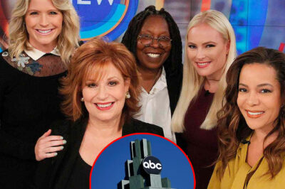 “BREAKING: DISNEY SET TO SELL ABC FOR $20 BILLION—NEW OWNER REPORTEDLY PLANS TO KILL THE VIEW!”