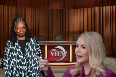 $800M LAWSUIT: What Did Leavitt Say That Left ‘The View’ Desperate? The Explosive Legal Battle That’s Rocking the Media World