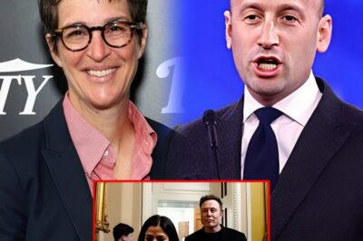 “Rachel Maddow SHUTS DOWN Stephen Miller—‘I Don’t Debate Monsters. I Expose Them.’