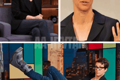 Rachel Maddow’s Career Nearly Derailed Before It Began—What One NBC Panelist Did During Her Interview Left the Room Frozen… Until She FIRED BACK With Unshakable Courage!