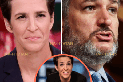 In a stunning attack that has sent shockwaves through the political world, Rachel Maddow has publicly slammed Senator Ted Cruz over a shocking $428 million donation fraud scandal. Maddow accuses Cruz of misappropriating funds meant to aid the victims of the devastating Texas floods, demanding that he return every cent. Her furious response has sparked widespread outrage, with legal action potentially on the horizon.