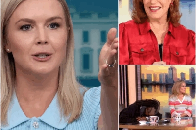 “WHITE HOUSE ATTACKS THE VIEW: ‘JOY IS A POINTLESS LOSER’ WHO SHOULD ‘REFLECT’ BEFORE ‘HER SHOW IS NEXT TO GO OFF THE AIR’!”