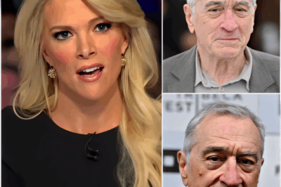 “Robert De Niro SILENCES Megyn Kelly Live With Eight Chilling Words—Fans Are STILL Stunned!”