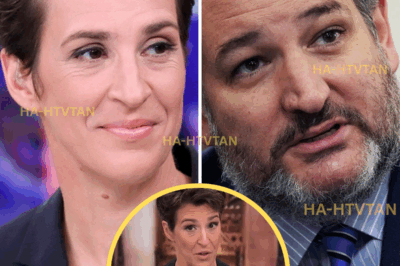 BOMBSHELL: RACHEL MADDOW UNLEASHES FURY ON TED CRUZ AFTER SCANDALOUS $428 MILLION DONATION FRAUD—ACCUSES HIM OF POCKETING FUNDS MEANT FOR TEXAS FLOOD VICTIMS!