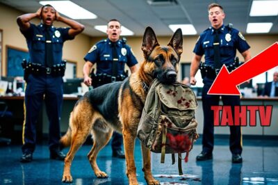 Injured K9 Dog Show Up At Police Station With Child’s Backpack, What He Brought Saved A Missing Boy.