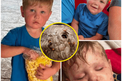 “THE ER WENT SILENT.” A father bursts through the doors—covered in stings—cradling his 2-year-old as nurses sprint. Moments earlier, little Beckham Reed ran his electric toy car over a yellowjacket nest and was swarmed 150+ times. He’s now on life support in a Georgia hospital.   No warning. No time to think. Just a backyard ride that turned into every parent’s worst nightmare.  What triggered the swarm in seconds? How are doctors fighting to stabilize him right now? And what did cameras capture as his dad, Josh Reed, rushed into the ER with his son in his arms?  Watch the viral clip and see the timeline of those critical minutes—the detail that stopped the room cold, and the urgent questions everyone’s asking tonight.