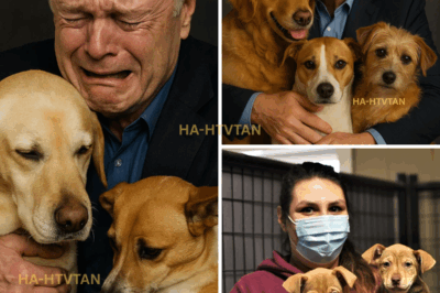 LAWRENCE O’DONNELL’S $10 MILLION GIFT TO ANIMAL RELIEF LEAVES EVERYONE SPEECHLESS — AND THEN HE DID SOMETHING UNEXPECTED!