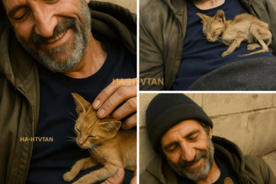No family. No home. Just the cat who slept on his chest every night. “She chose me,” he said once, “and that’s all that matters.” I first noticed him past midnight outside a laundromat, stretched out on a worn mat beneath a buzzing neon sign. The small orange cat—Hazel—lay on him like she belonged there. His shoes were patched with tape, his worldly possessions stuffed into a plastic bag.