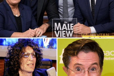 HOWARD STERN, STEPHEN COLBERT, DON LEMON & ROSIE O’DONNELL’S NEW ABC SHOW LEAVES FANS STUNNED — AND THEN THEY DID SOMETHING UNEXPECTED!