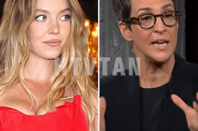 “MSNBC Producer Accuses Sydney Sweeney of ‘Promoting White Supremacy’ in American Eagle Ad – The Backlash Is Explosive!”