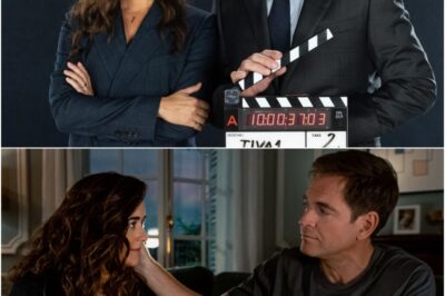 Cote de Pablo REFUSED Intimacy Coordinator On NCIS Tony & Ziva Scenes And Her Reason Has Everyone Talking
