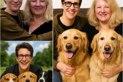Rachel Maddow and Partner Susan Mikula Shocks the World with Major Announcement: Pledges $12 Million to Launch “RESCUER”