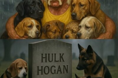 Before his De.at.h — Hulk Hogan quietly Spent his entire life Savings to Build a Farm to save [a.ban.do.ned] Dogs!