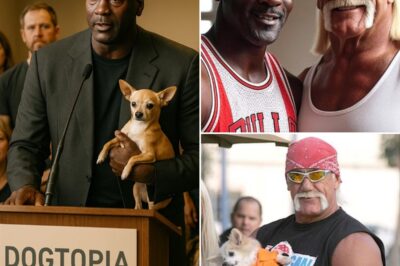 “He May Be Gone, But His Dog Will Always Be Loved”: In a Deeply Moving Farewell to Wrestling Icon Hulk Hogan, Michael Jordan Adopts the Heartbroken Chihuahua He Left Behind — Welcoming Him Into His $5 Million, 6-Hectare Dogtopia Sanctuary in Bologna, Built to Heal Abused and Abandoned Dogs. Jordan Calls It a Final Gift to a Quiet Hero He Respected — A Silent Act of Brotherhood That’s Now Stirring Hearts Across the Nation. What He Whispered While Cradling the Tiny Dog Has Left Millions in Tears…👇