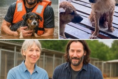 Incredible: Keanu Reeves tries to enter raging Fl.oo.dwa.ters in Texas to rescue homeless Dogs [dr.ag.ged] into the strong [c.ur.re.nt]. The Moment left the whole Country he.art.bro.ken and [S.h.0.ck.ed]!