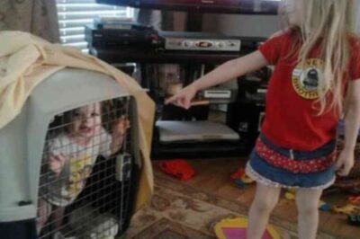 My Daughter Was Locked in a Dog Crate by Her Babysitter—Her Words Still Haunt Me
