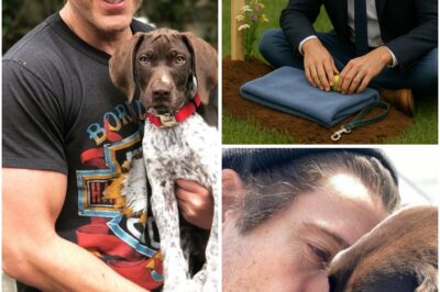 David Muir’s Private Goodbye to His Dog Was Accidentally Recorded… and Left the Internet in Tears. When beloved news anchor David Muir lost his dog Axel, he held a quiet, heartfelt funeral in his backyard — no cameras, no reporters, just raw grief. But what he didn’t know was that his wife had gently recorded a small moment from afar. The footage, later shared with his blessing, captured a gesture so tender it’s now being called one of the most moving things the internet has ever seen.