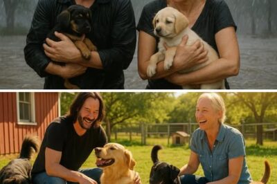 Keanu Reeves and Alexandra Grant: The Untold Story of How They Rescued Dozens of Dogs After a Texas Flood, and the Heartwarming Gesture of Gratitude from the Dogs That Changed Their Lives Forever!