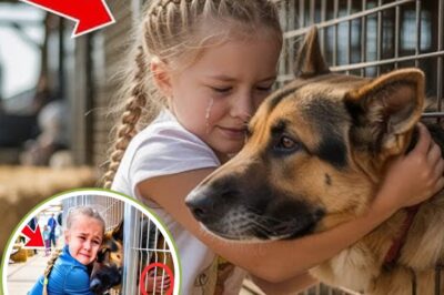 Little Girl Walks Into Police Dog Auction Alone — What Happened Next Moved Everyone to Tears