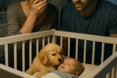Doctors Said He’d Never Move Again—Until a Puppy Changed Everything