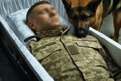 The German Shepherd Refused to Leave the Coffin—And His Barking Led to a Shocking Discovery