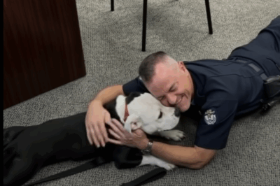 A Shelter Dog’s Big Day Led to a Forever Home He Never Saw Coming
