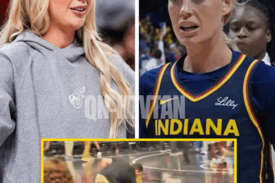 “They thought it was just a joke” – WNBA fan EXPOSED after tossing shocking toy onto court as identity revealed and a string of UGLY charges spark outrage, legal fallout, and questions about what drove this wild stunt in the first place